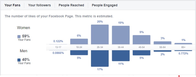 Facebook Statistic Sample 4