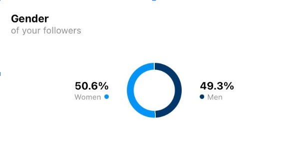 Instagram Statistic Sample 2
