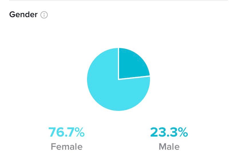 TikTok Statistic Sample 2