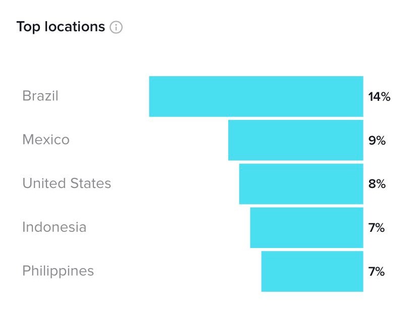 TikTok Statistic Sample 3